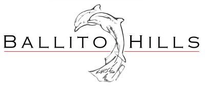 See more Balwin Properties developments in Ballito