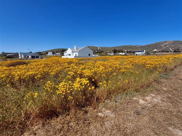 375 m² Land 375 m² Land