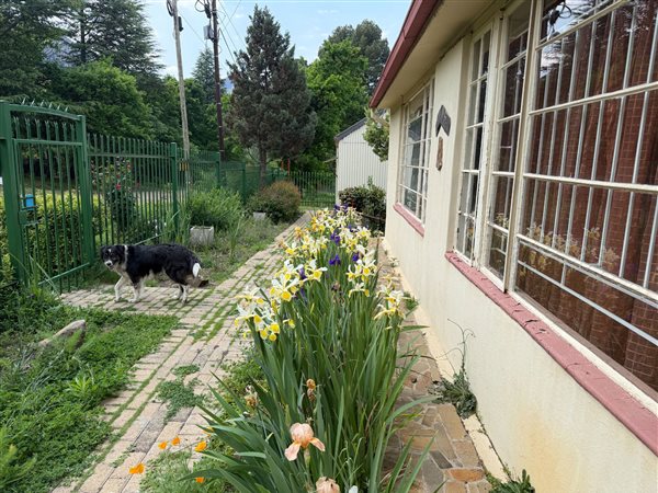 3 Bedroom House 3 Bedroom House